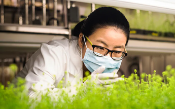 PLANT BASED VACCINE RESEARCH